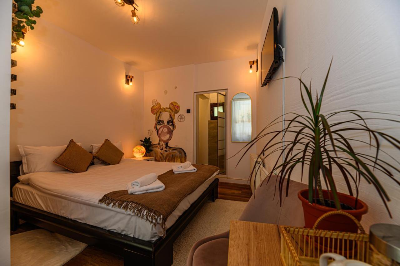 Backpacker'S Room Braşov Eksteriør billede